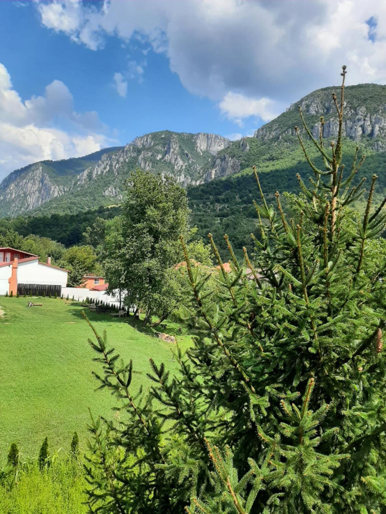 Pensiune Safrane Băile Herculane المظهر الخارجي الصورة