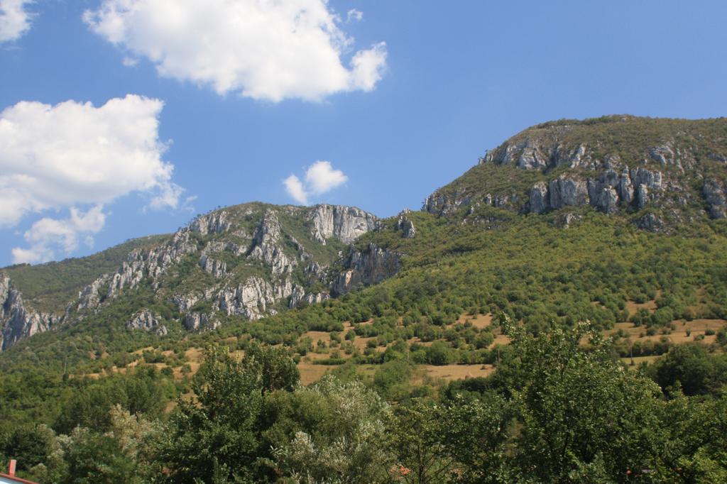 Pensiune Safrane Băile Herculane الغرفة الصورة